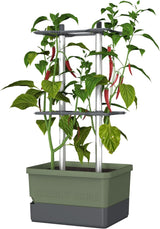 Charly Chili Planter Dark Green - Climbing Aid, Self-Watering System & Robust Frame