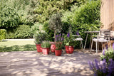 Amiga Round Plant Pot 40cm - Theatre Red