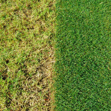 EverGreen Complete 4-in-1 Lawn Food, Weed & Moss Control -  360 m2