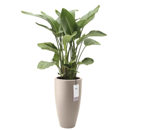 June Round High 40cm Indoor / Outdoor Plant Pot - Balanced Beige