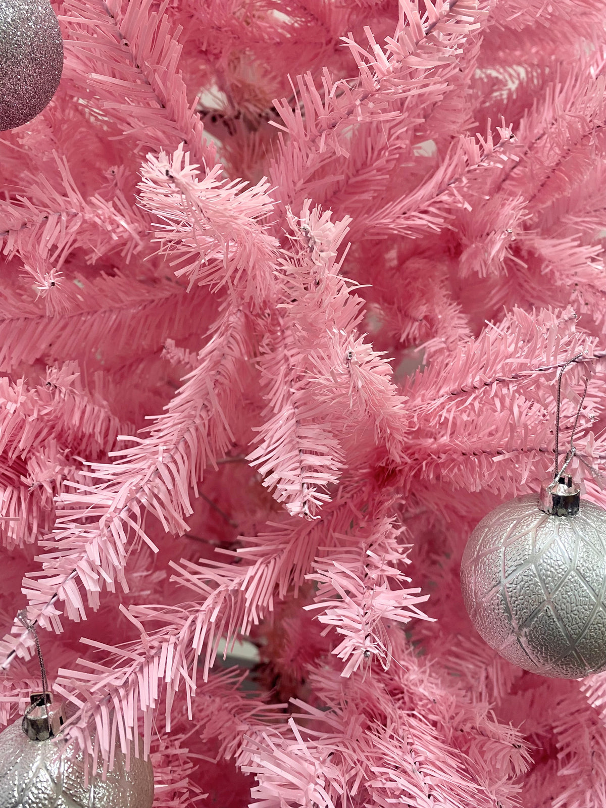 Colorado Spruce Christmas Tree Pink - 6ft/180cm