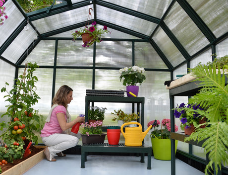 Hobby Gardener 8' x 8' Greenhouse - Green Frame & Twinwall Polycarbonate Panels