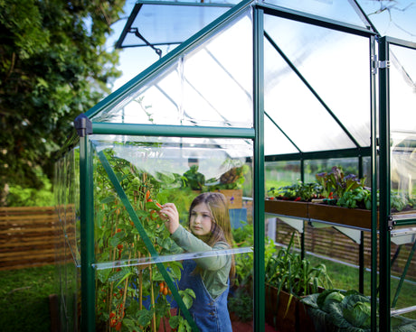 Hybrid 6' x 4' Greenhouse - Green Frame & Hybrid Polycarbonate Panels