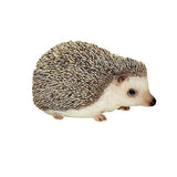 Pygmy Hedgehog Pet Pals Garden Ornament