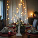 60cm White Birch Tree with 24 Warm White LEDs