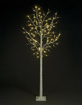 1.8m Birch Tree with 80 Warm White LEDs