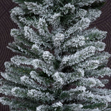 Pencil Pine Snow Flocked Christmas Tree - 8ft/240cm