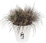 Loft Urban Round 30cm - White