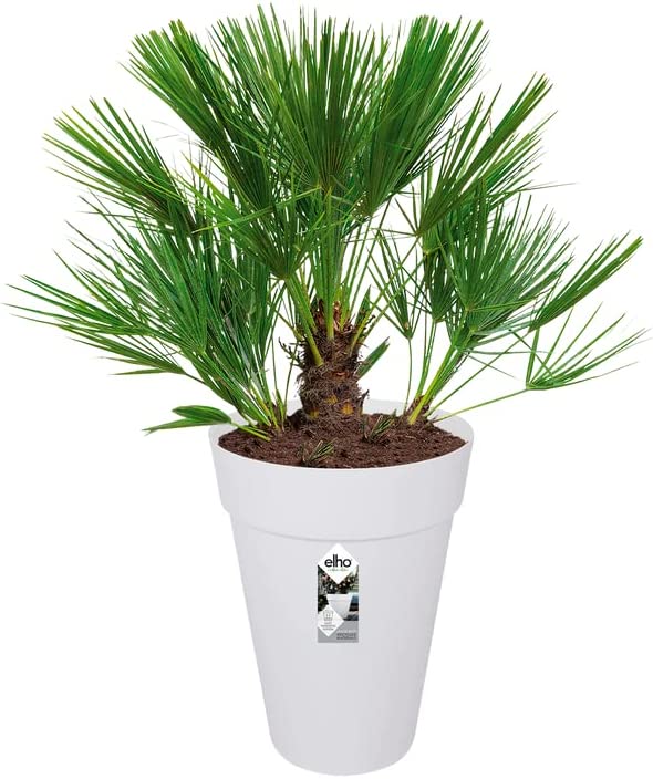Loft Urban Round High 28cm - White