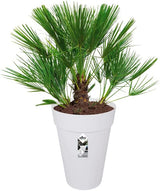 Loft Urban Round High 28cm - White