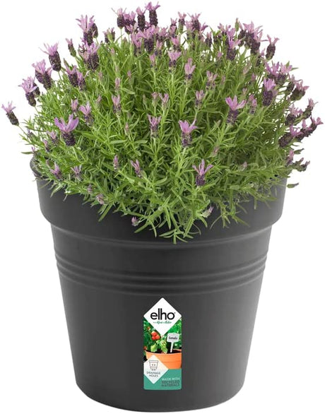 Green Basics Grow Pot 35cm - Living Black