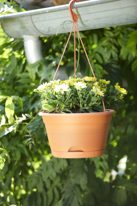 Green Basics Hanging Basket 28cm - Mild Terracotta
