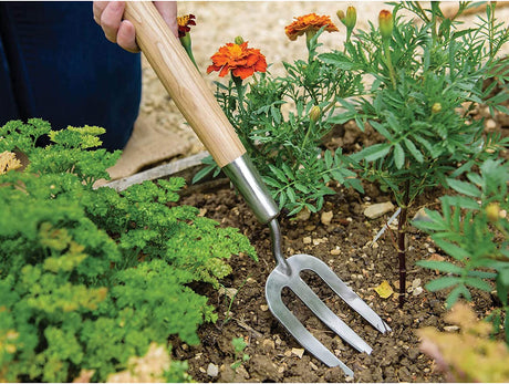 Kent & Stowe Stainless Steel Border Hand Fork