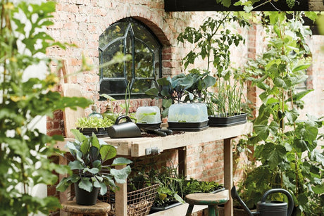 Green Basics Grow Table Medium Lid