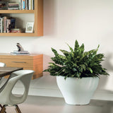 Crescent Garden Juno Round 16" Alpine White