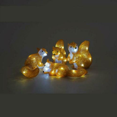 Set of 4  Acrylic Squirrels 25cm with LED Lights