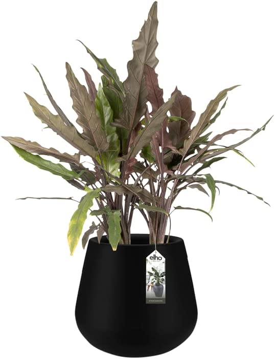 Pure Cone 55cm - Black